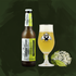 Kép 1/7 - Bodzás Búza (witbier / szűretlen belga búza bodzavirággal) 4.4%